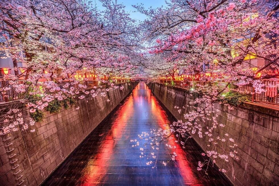 tokyo, japan 0